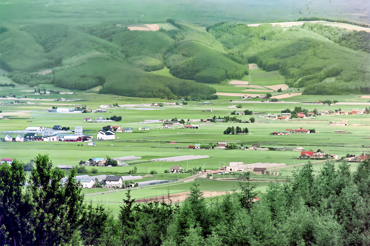 View From 彩香之里